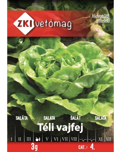 Saláta Téli vajfej 3g ZKI