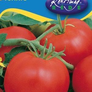 Paradicsom Kecskeméti jubileum 0,5 g