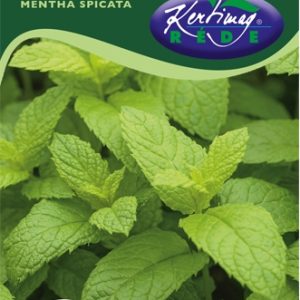 Zöldmenta (Fodormenta) 0.2g