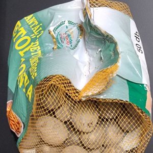 Bleuet vetőburgonya 50 szem